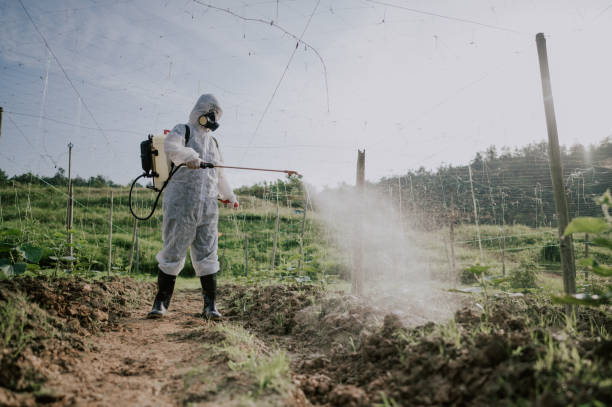 Best Pest Removal Services  in Keizer, OR