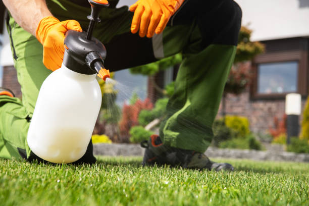 Best Best Pest Control Companies  in Keizer, OR