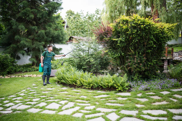 Best Commercial Pest Control Services  in Keizer, OR