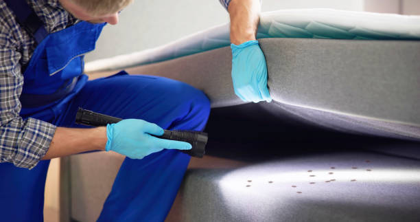 Best Best Pest Control Companies  in Keizer, OR