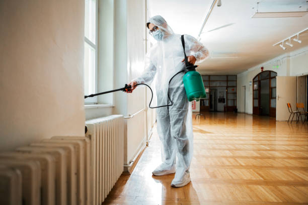 Best Flea Control Services  in Keizer, OR
