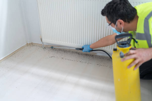 Best Wasp Removal Services  in Keizer, OR