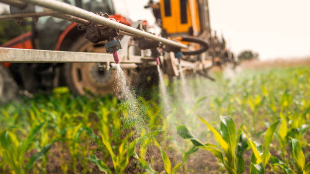 Best Wildlife Control Services  in Keizer, OR