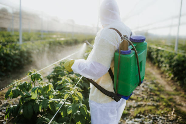 Pest Prevention Services in Keizer, OR